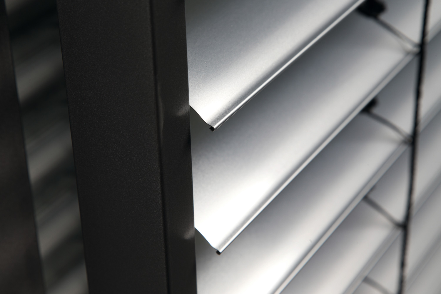 Regazzi Sole – Lamelle piatte e bordate-023