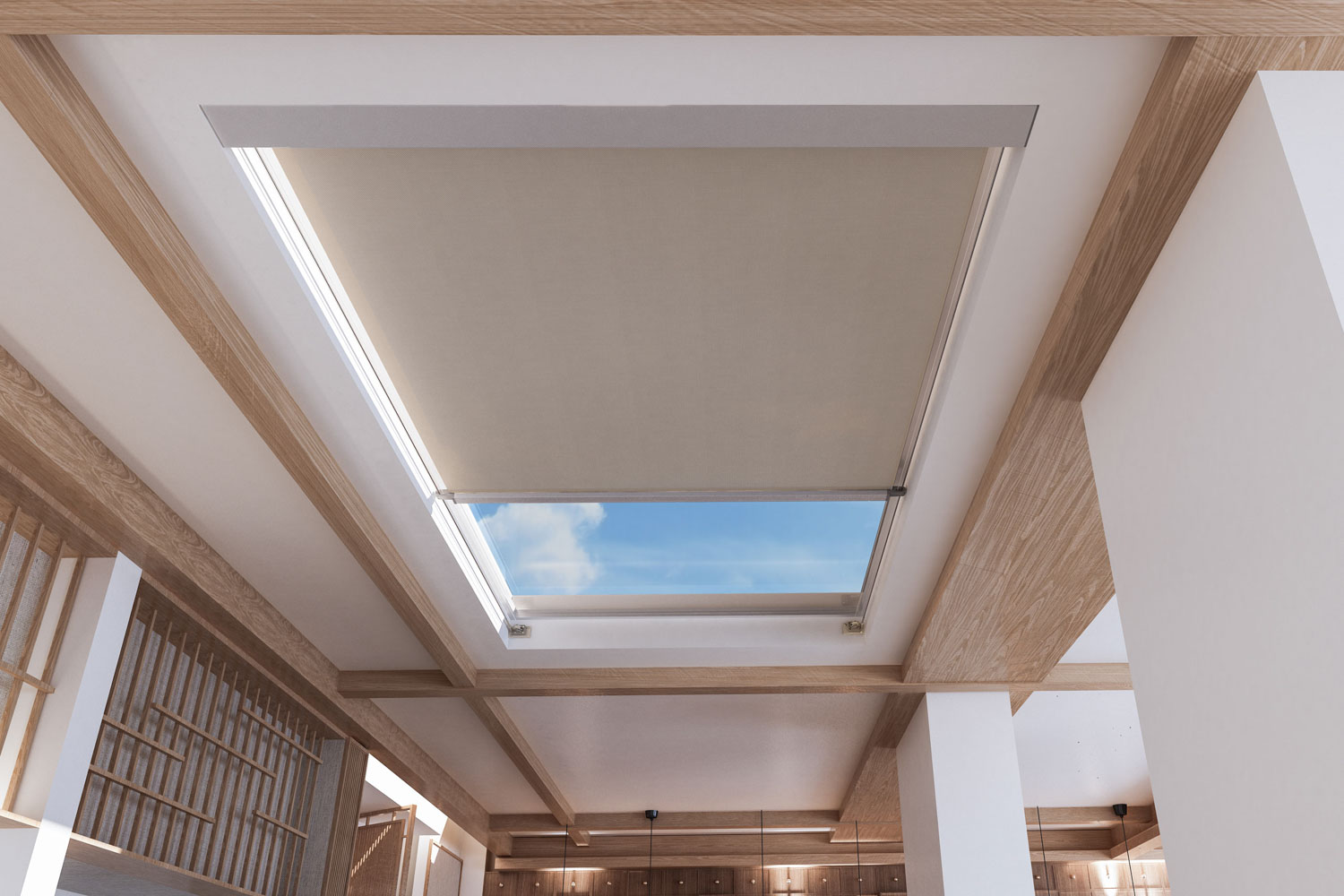 Regazzi Sole – Tende da interno – Skylights-008